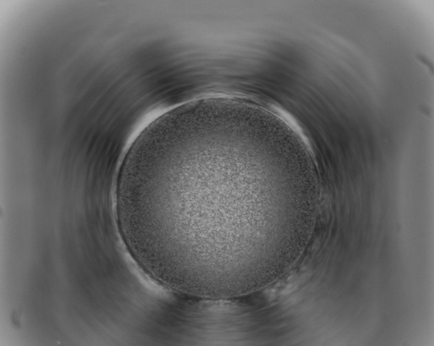 X0000096470811200801311533