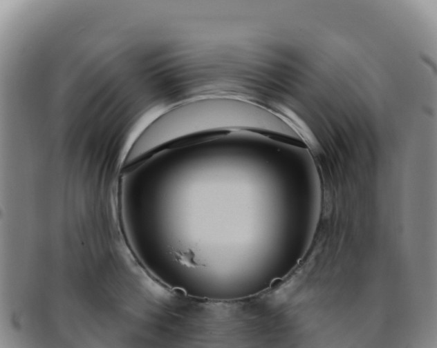 X0000096470812200801311533
