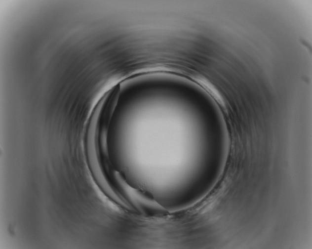 X0000096470813200801311533
