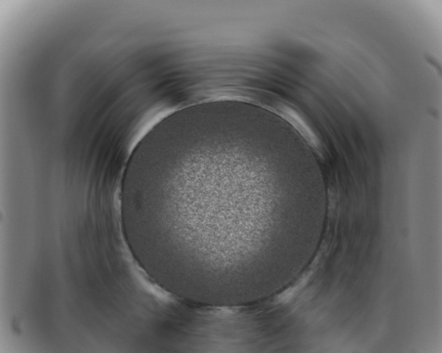 X0000096470814200801311533
