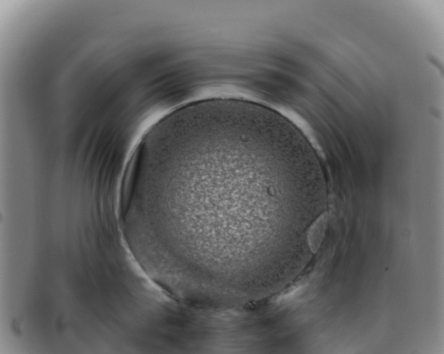X0000096470815200801311533