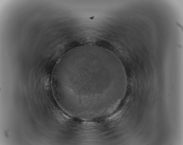 X0000096470818200801311532