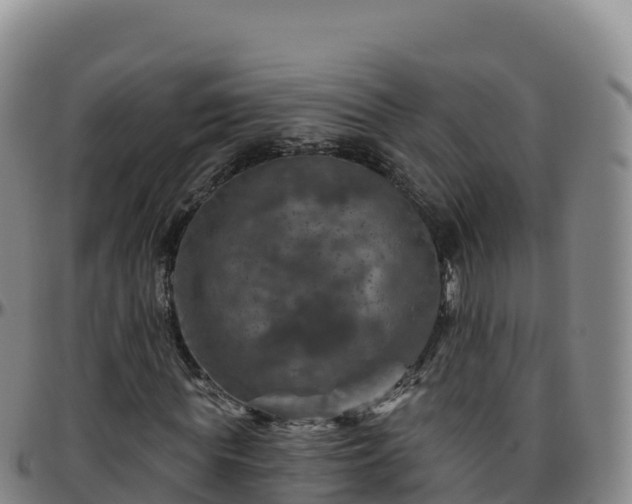 X0000096470819200801311532