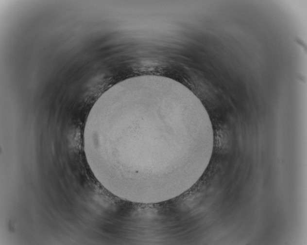 X0000096470820200801311532