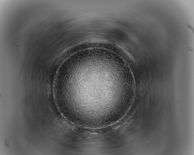 X0000096470821200801311532