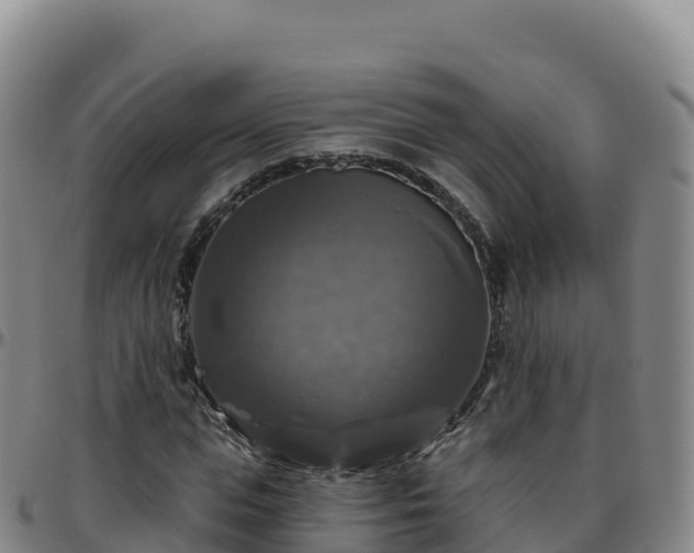 X0000096470823200801311532