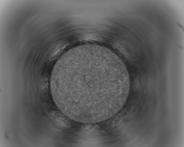 X0000096470824200801311532