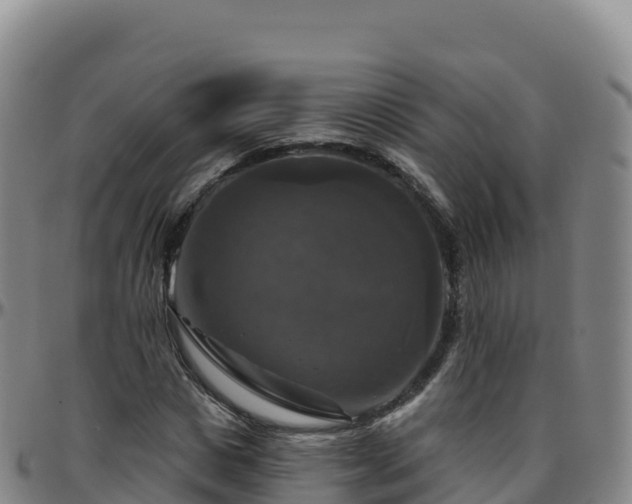 X0000096470825200801311532