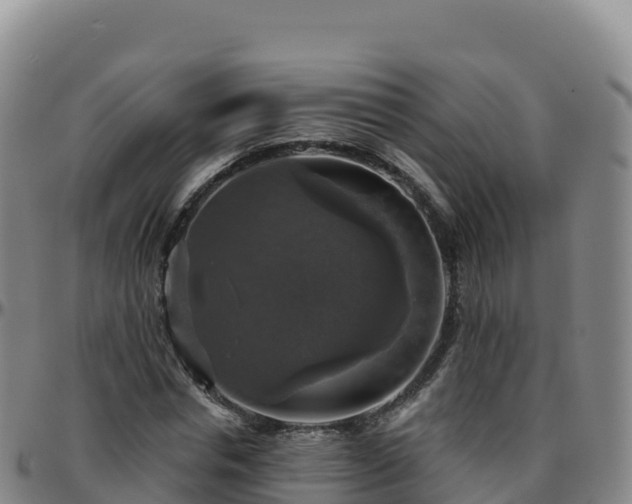 X0000096470826200801311532