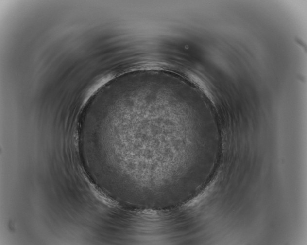 X0000096470827200801311532