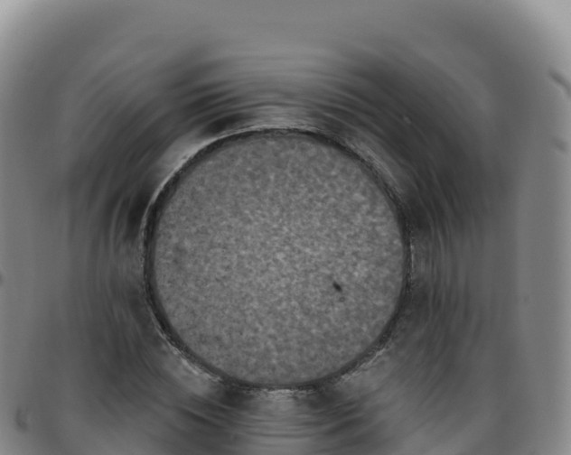 X0000096470828200801311532