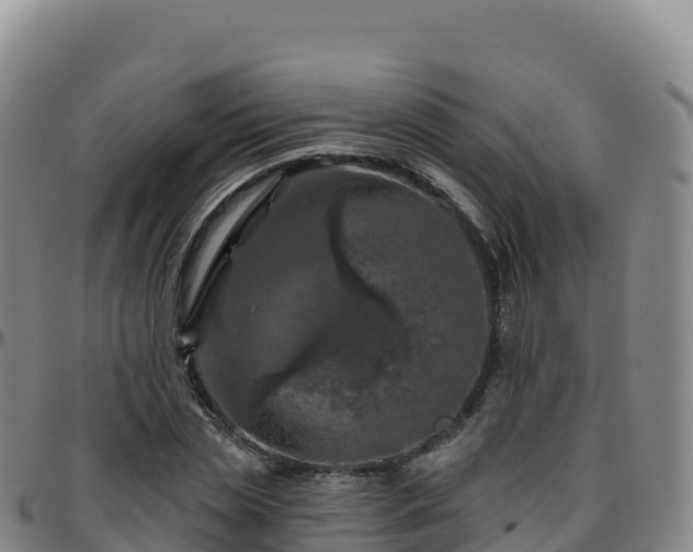 X0000096470829200801311532