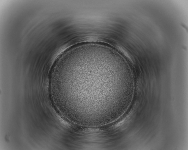 X0000096470831200801311532