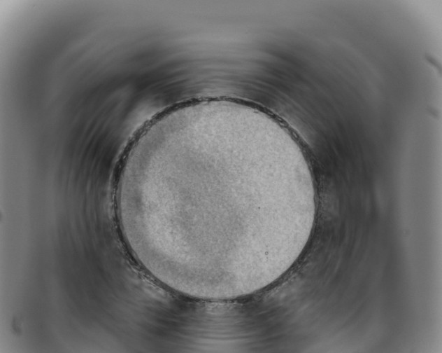 X0000096470832200801311532