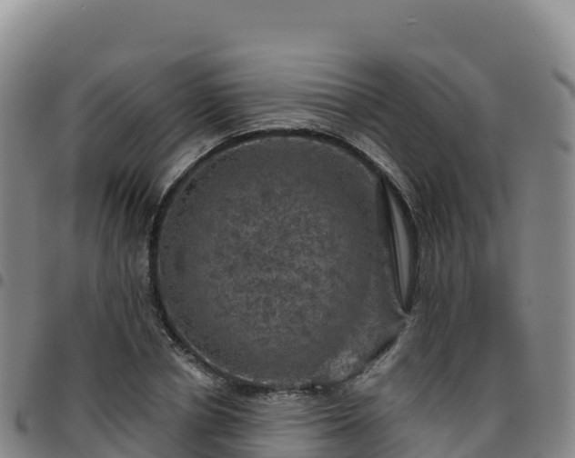 X0000096470834200801311532