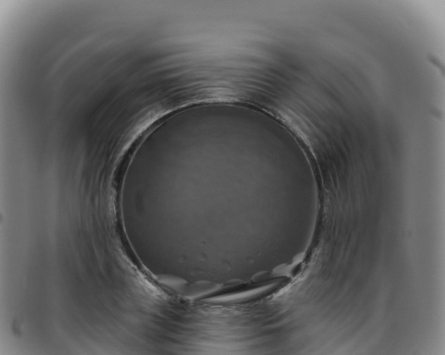 X0000096470835200801311532
