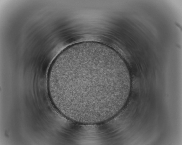 X0000096470836200801311532