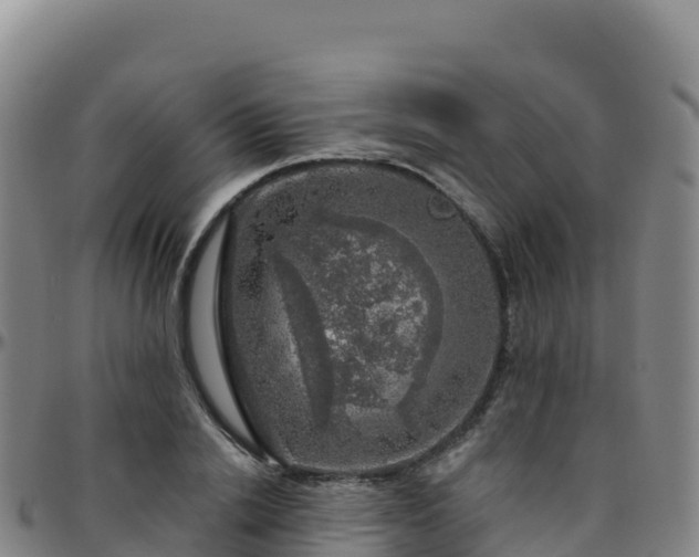 X0000096470838200801311532