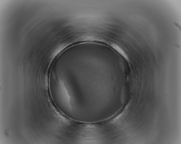 X0000096470839200801311532