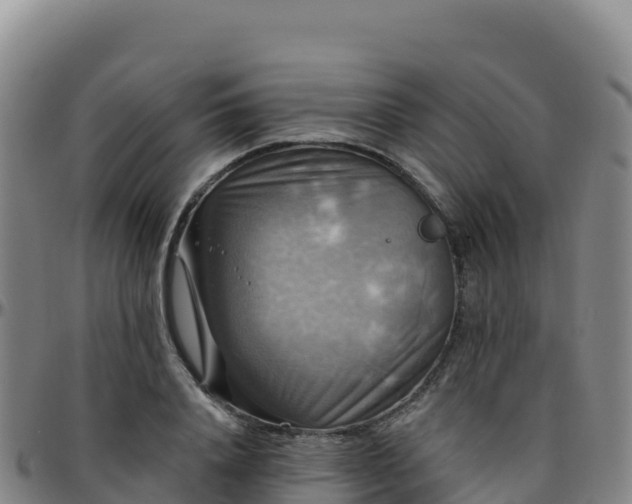 X0000096470840200801311532