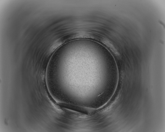 X0000096470841200801311532