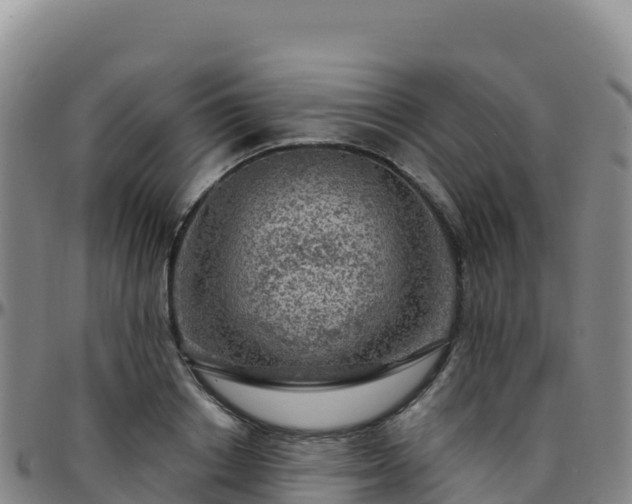 X0000096470842200801311532