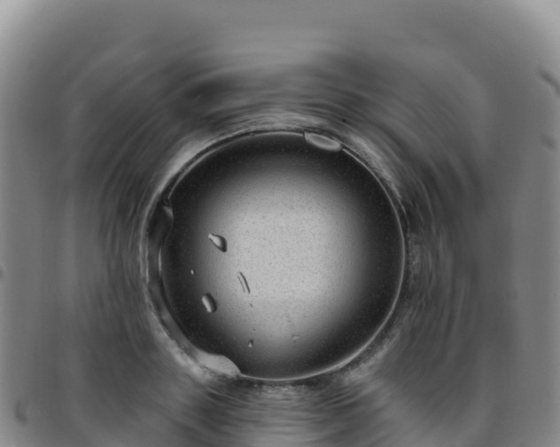 X0000096470843200801311532