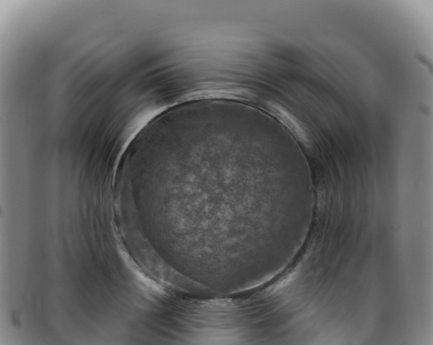 X0000096470844200801311532