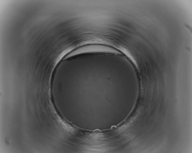 X0000096470845200801311532