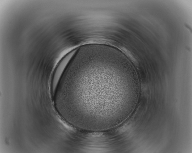 X0000096470846200801311532