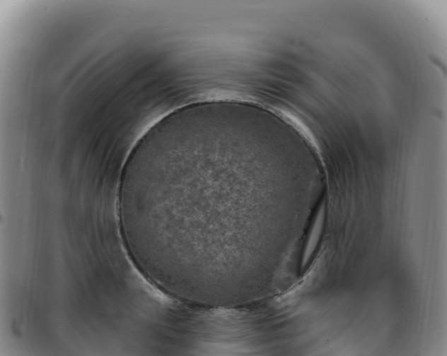 X0000096470847200801311532