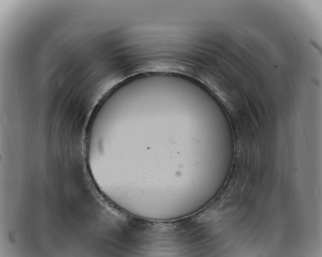 X0000096470848200801311532