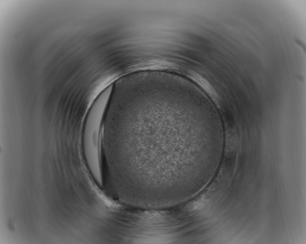 X0000096470850200801311532