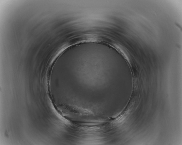 X0000096470851200801311532