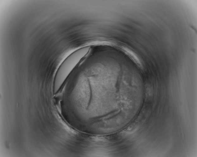 X0000096470852200801311532