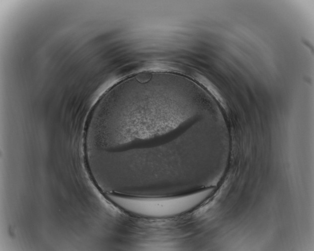 X0000096470853200801311532