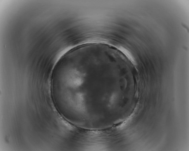 X0000096470854200801311532