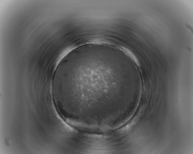 X0000096470855200801311532