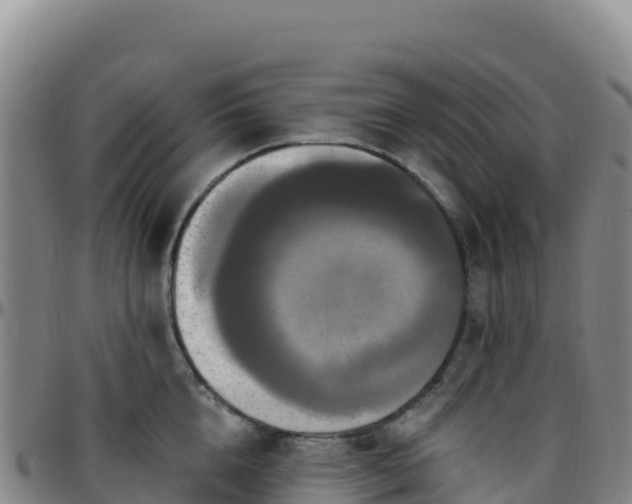 X0000096470856200801311532