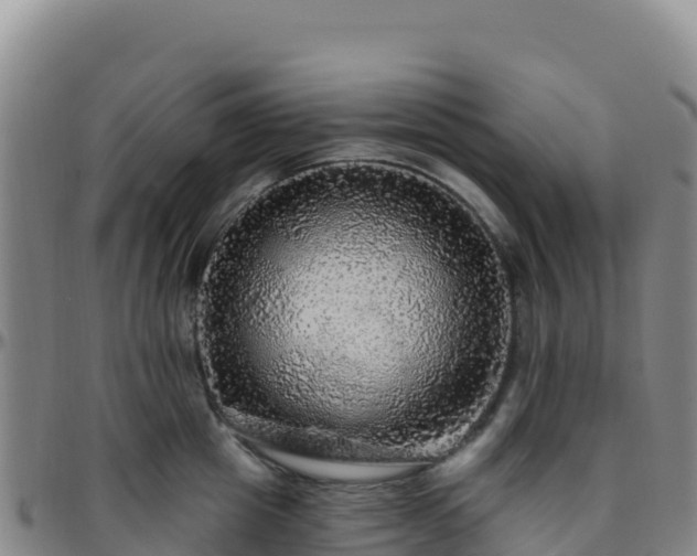 X0000096470857200801311532