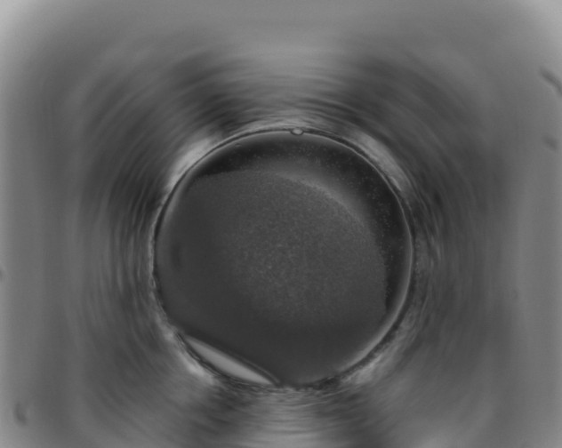 X0000096470858200801311532