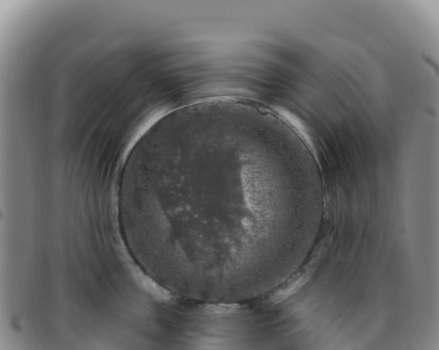 X0000096470859200801311532