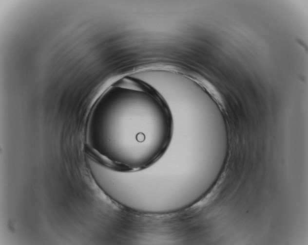 X0000096470860200801311532