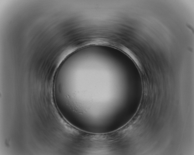 X0000096470861200801311532