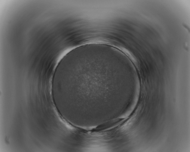 X0000096470862200801311532