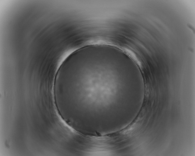 X0000096470863200801311532