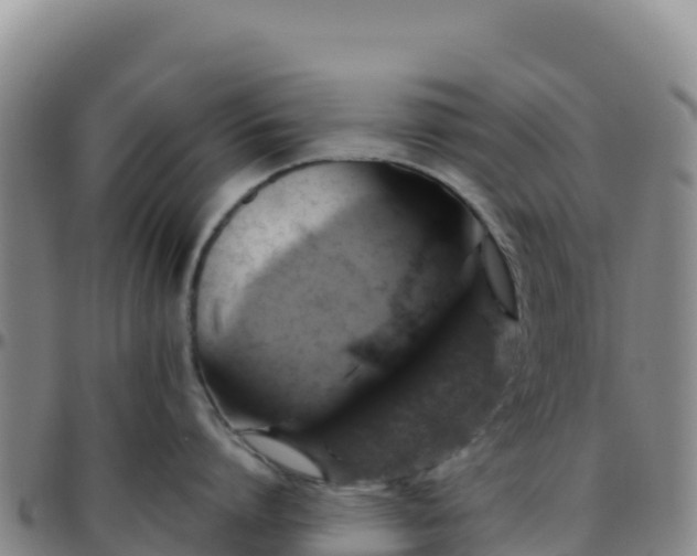 X0000096470864200801311532