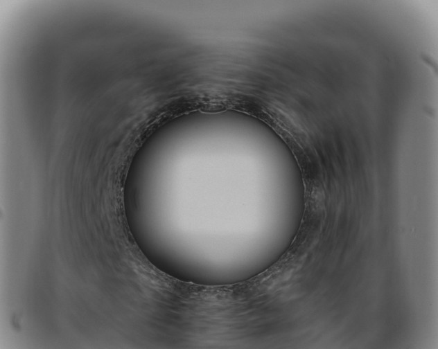 X0000096470865200801311532