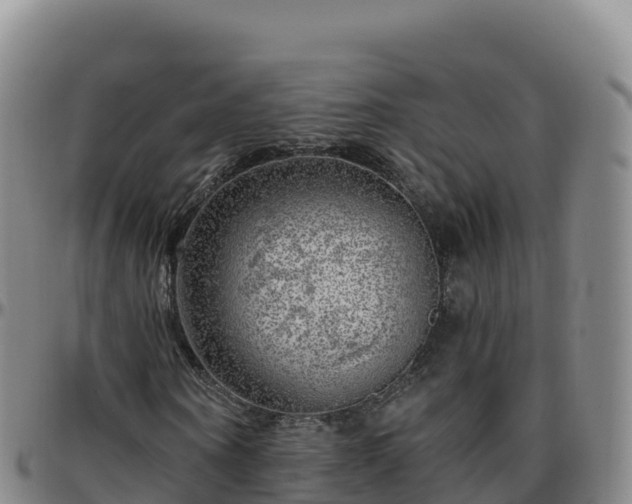 X0000096470866200801311532