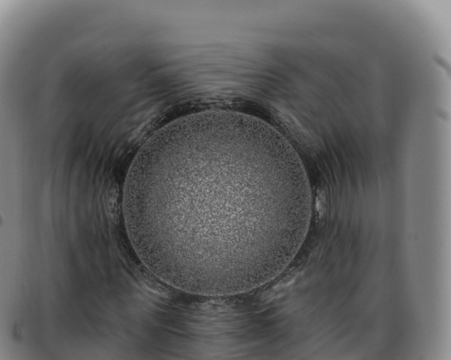 X0000096470867200801311532